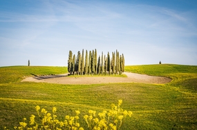清新大自然草地风光摄影图片